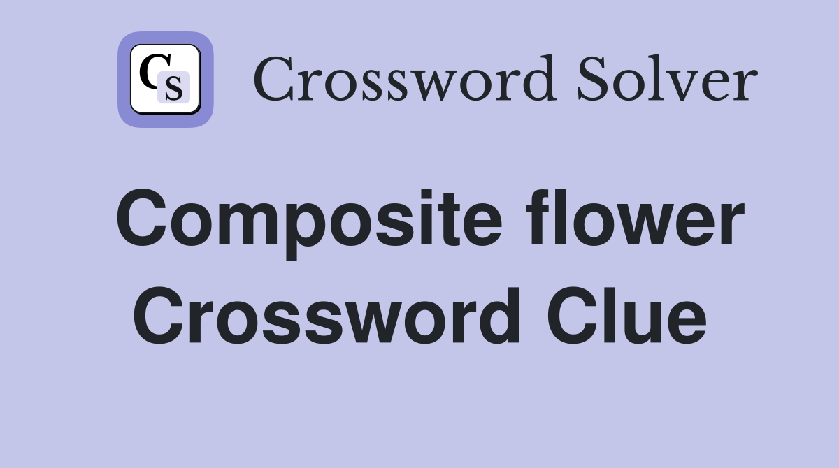Composite flower Crossword Clue