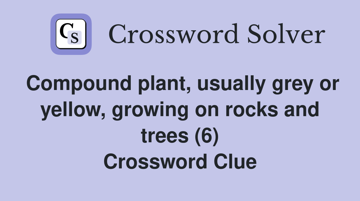 Compound plant, usually grey or yellow, growing on rocks and trees (6) Crossword Clue