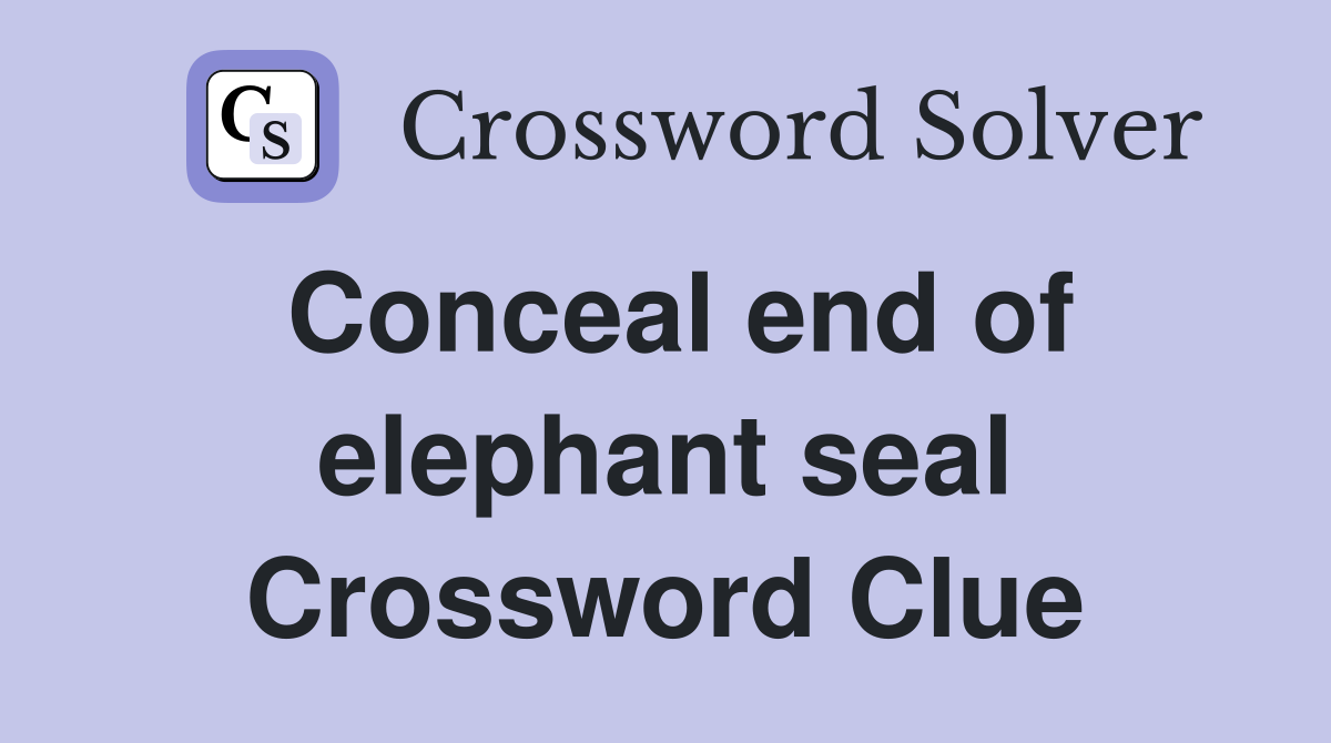 Conceal end of elephant seal Crossword Clue