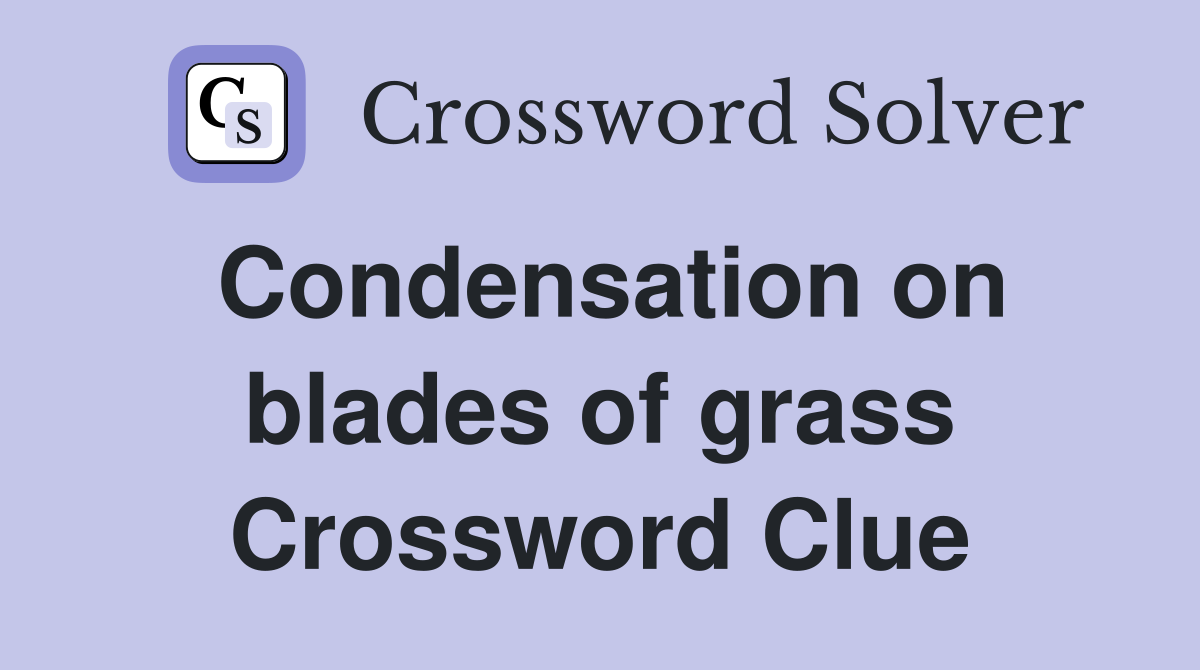 Condensation on blades of grass Crossword Clue