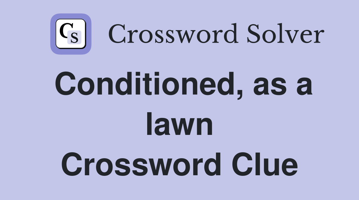 Conditioned, as a lawn Crossword Clue