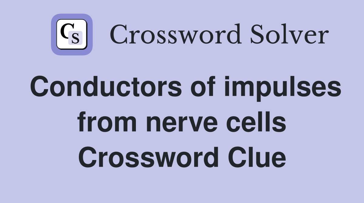 Conductors of impulses from nerve cells Crossword Clue