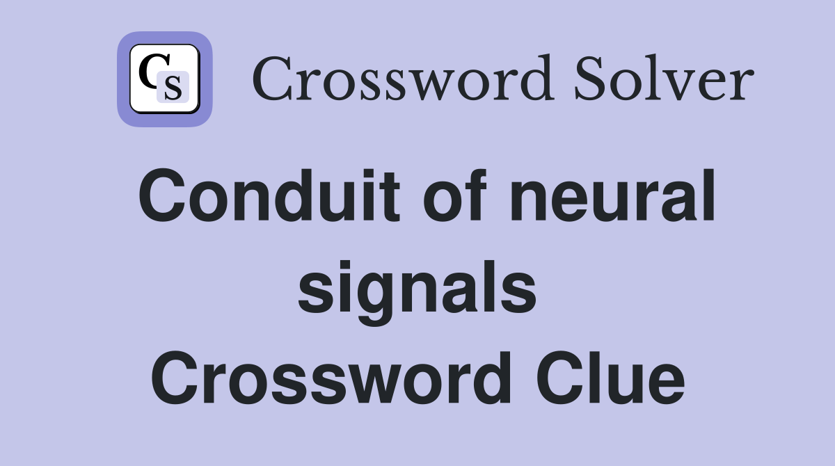 Conduit of neural signals Crossword Clue