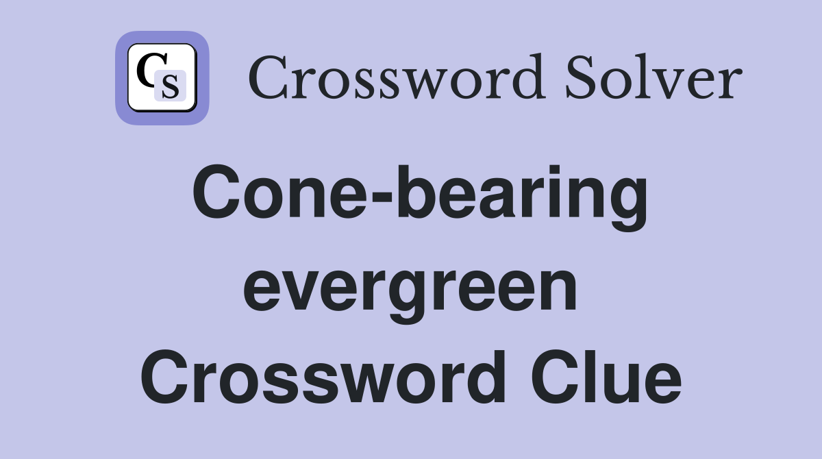 Cone-bearing evergreen Crossword Clue