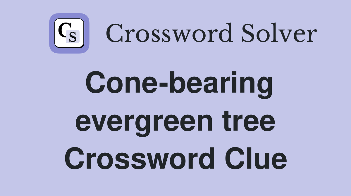 Cone-bearing evergreen tree Crossword Clue