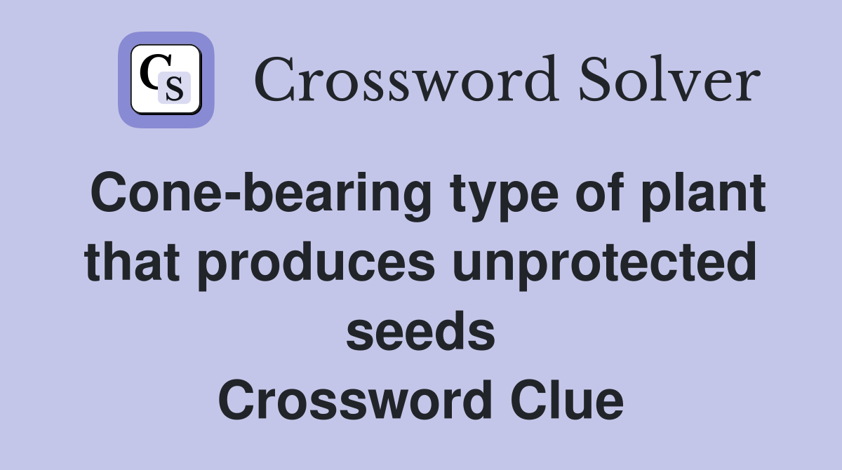 Cone-bearing type of plant that produces unprotected seeds Crossword Clue