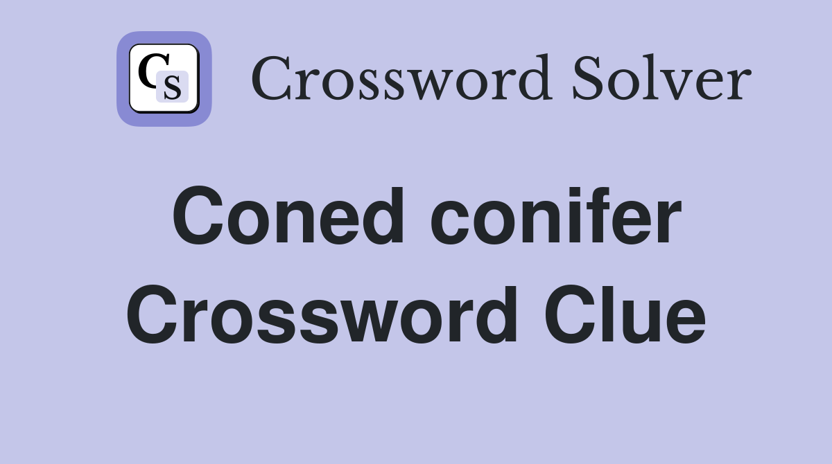 Coned conifer Crossword Clue