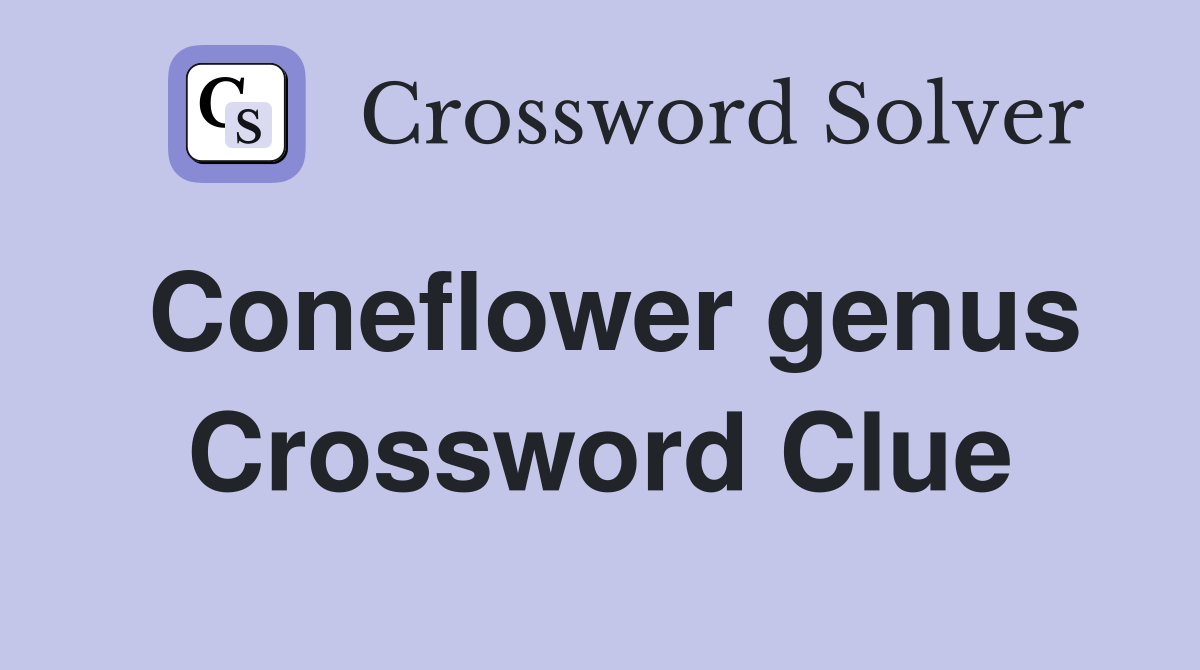 Coneflower genus Crossword Clue