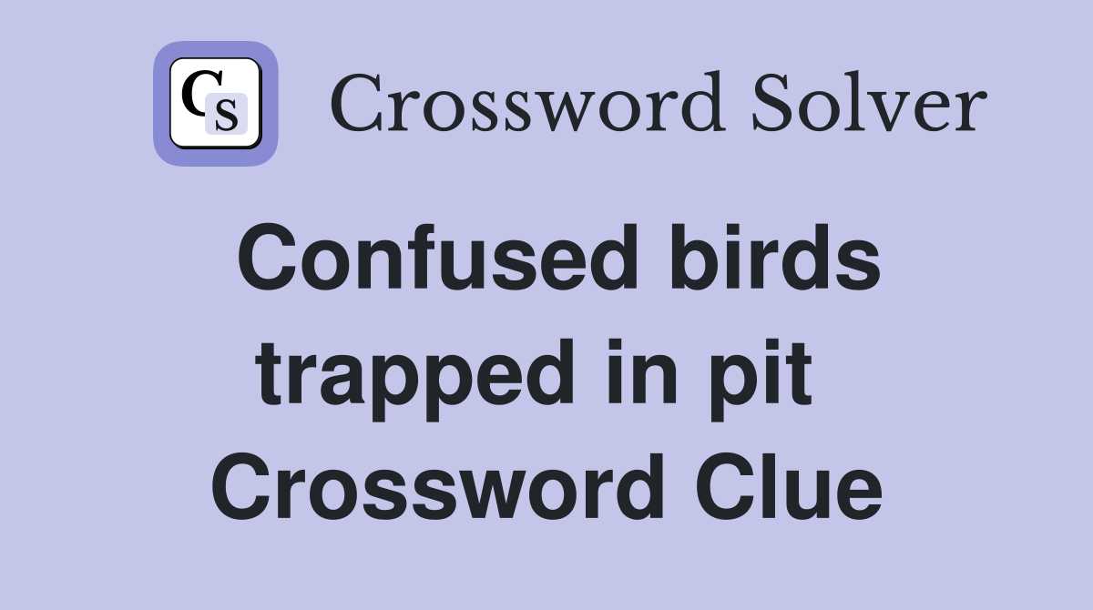 Confused birds trapped in pit  Crossword Clue