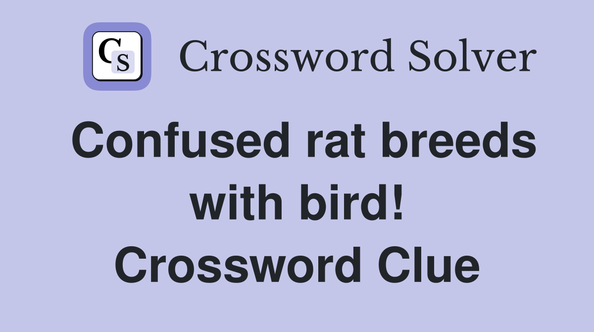 Confused rat breeds with bird! Crossword Clue
