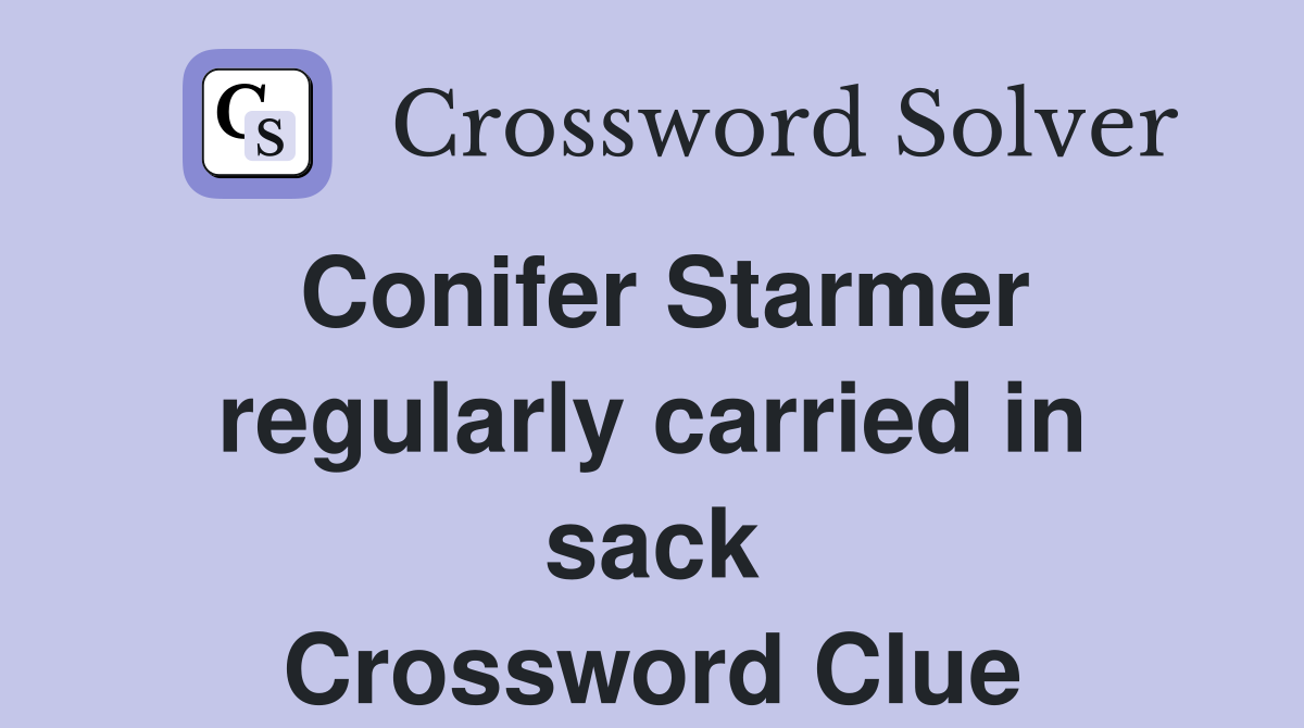 Conifer Starmer regularly carried in sack Crossword Clue