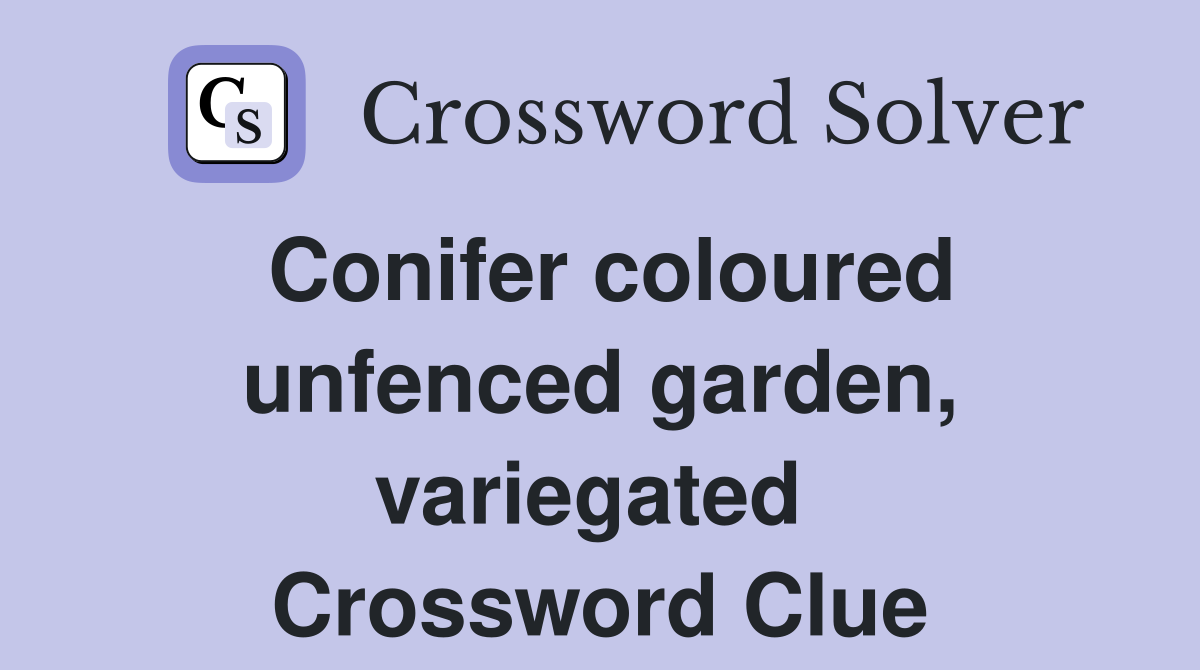 Conifer coloured unfenced garden, variegated  Crossword Clue