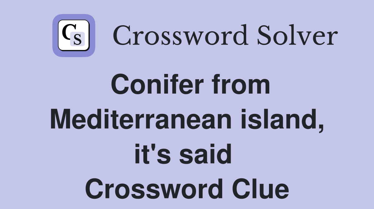 Conifer from Mediterranean island, it's said  Crossword Clue