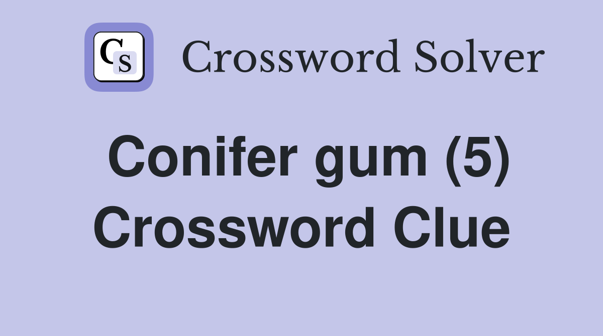 Conifer gum (5) Crossword Clue