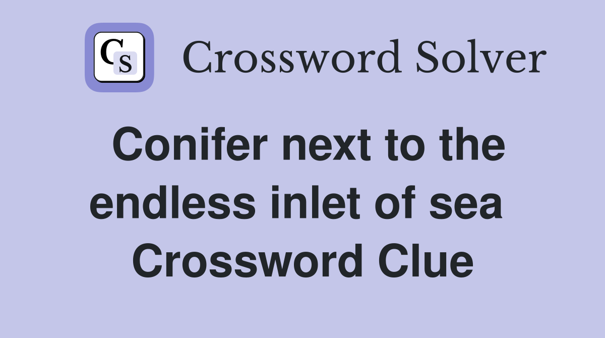 Conifer next to the endless inlet of sea  Crossword Clue