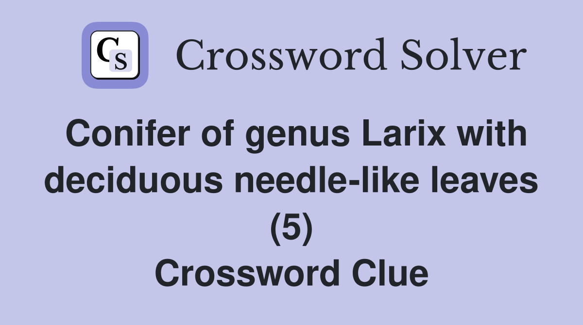 Conifer of genus Larix with deciduous needle-like leaves (5) Crossword Clue