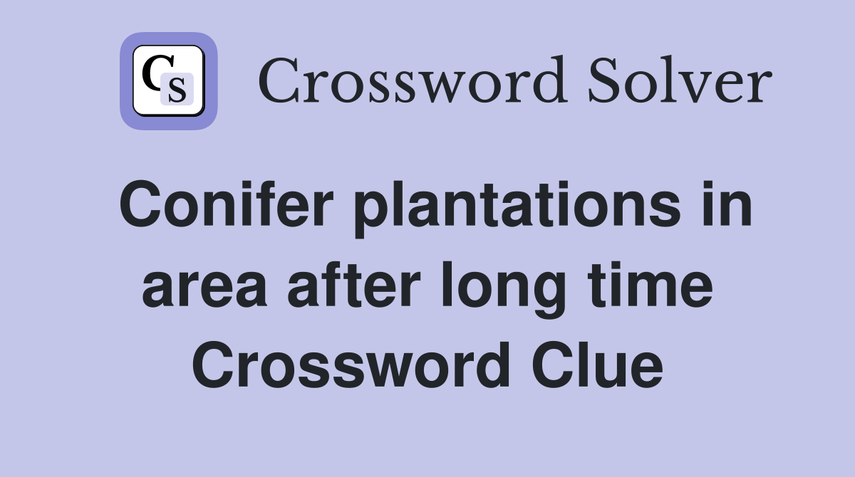Conifer plantations in area after long time Crossword Clue