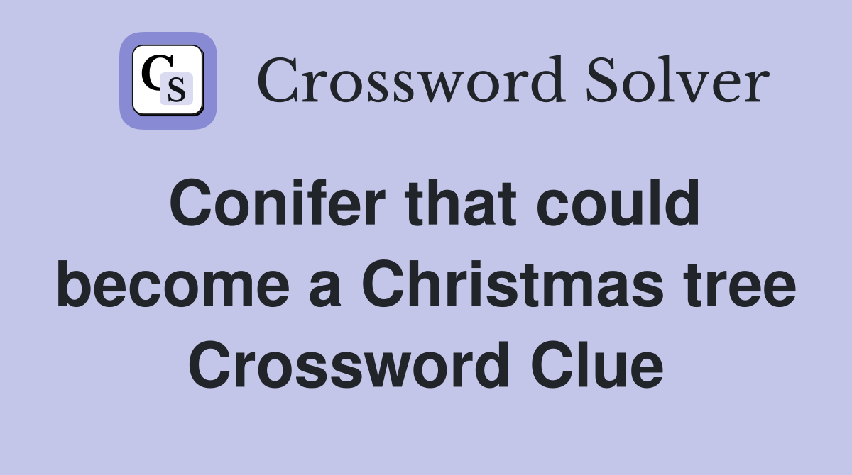 Conifer that could become a Christmas tree Crossword Clue