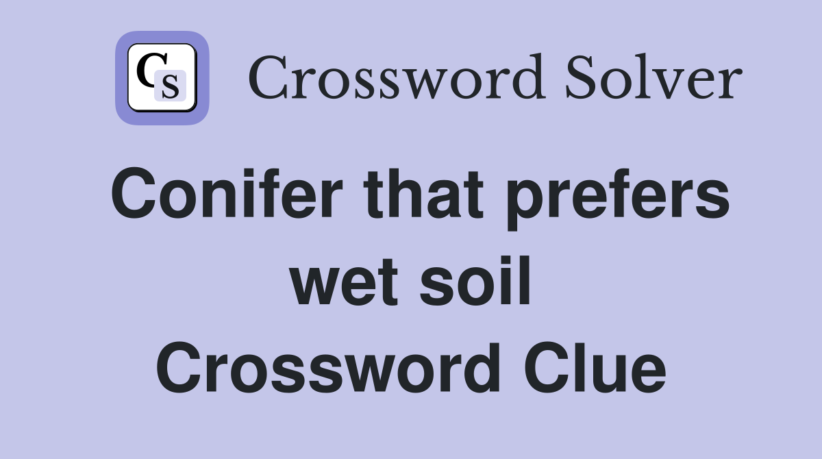 Conifer that prefers wet soil Crossword Clue