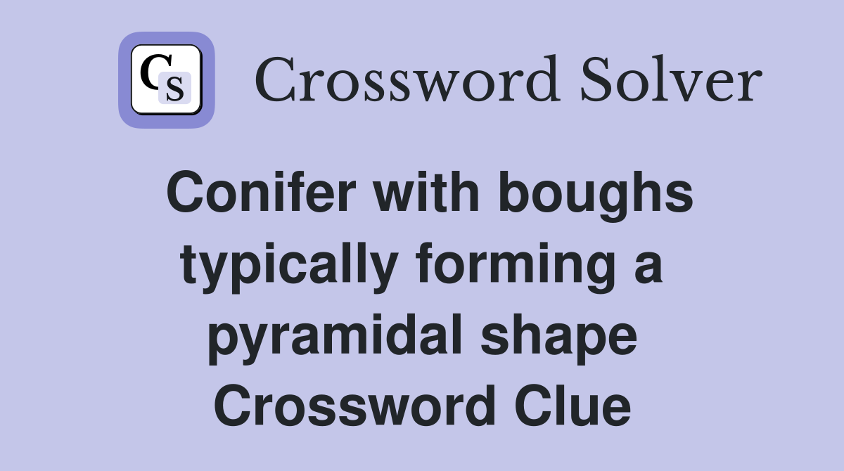 Conifer with boughs typically forming a pyramidal shape Crossword Clue