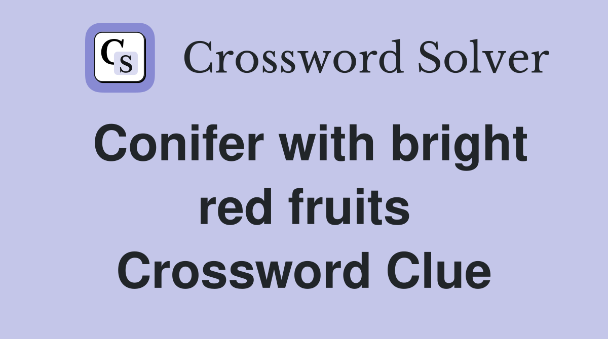 Conifer with bright red fruits Crossword Clue