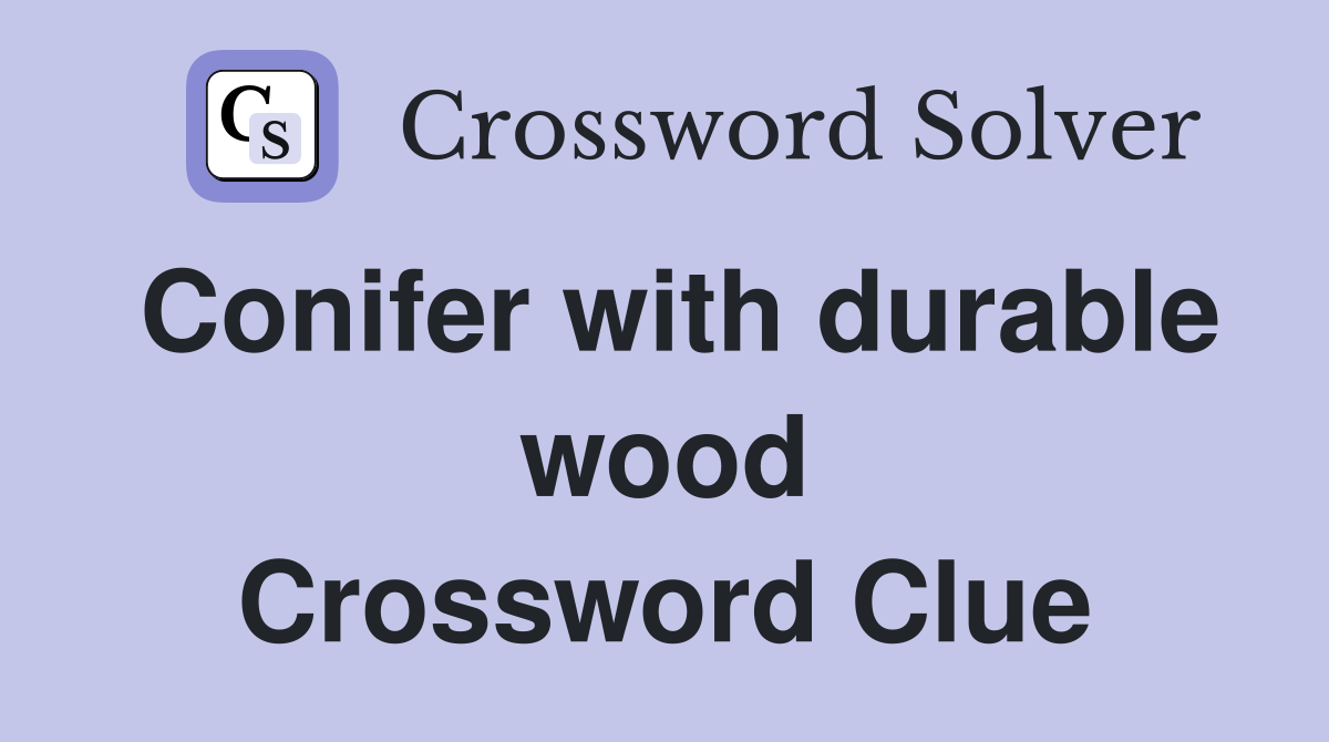 Conifer with durable wood Crossword Clue