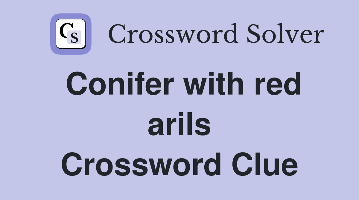 Conifer with red arils Crossword Clue