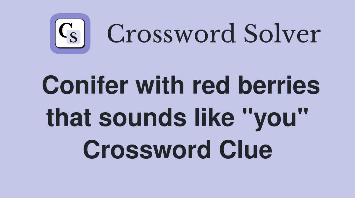 Conifer with red berries that sounds like "you" Crossword Clue