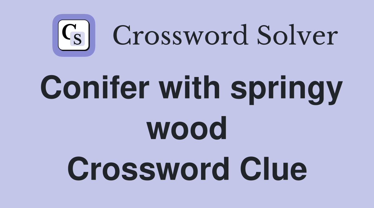 Conifer with springy wood Crossword Clue
