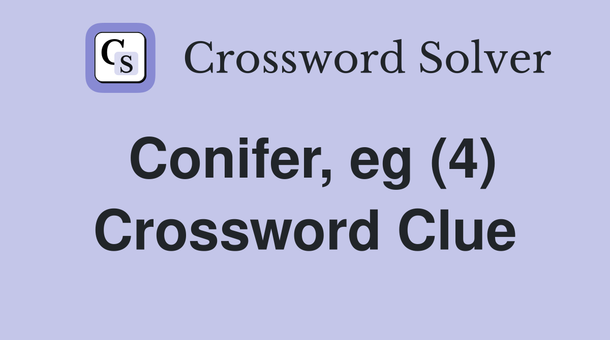 Conifer, eg (4) Crossword Clue