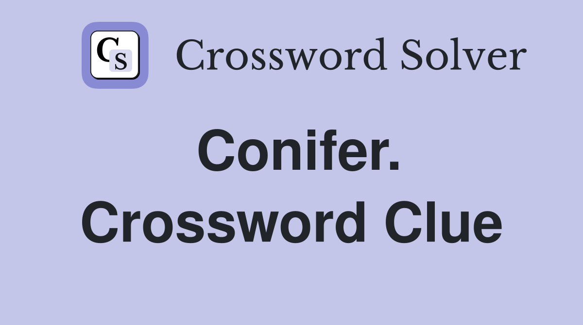 Conifer. Crossword Clue