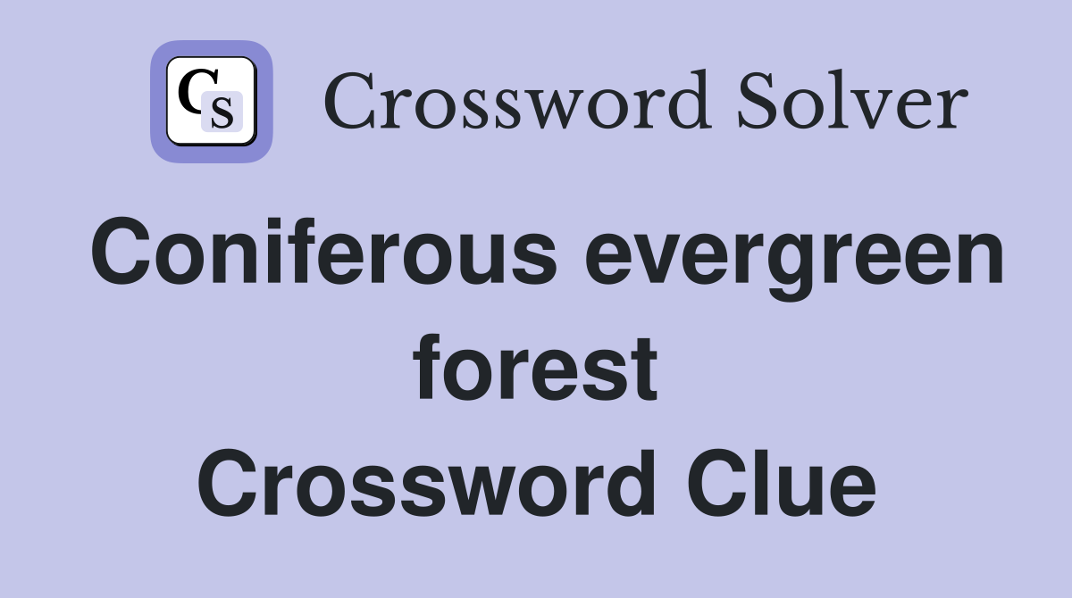 Coniferous evergreen forest Crossword Clue