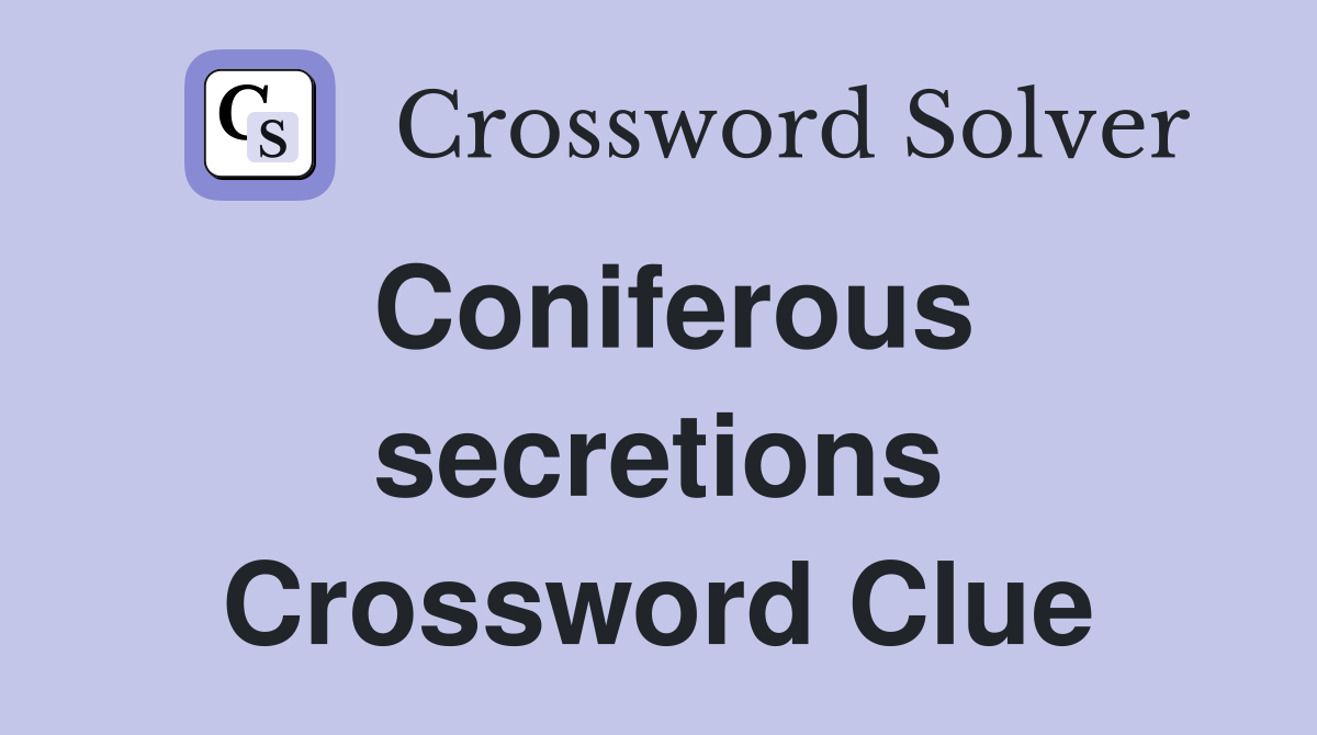Coniferous secretions Crossword Clue