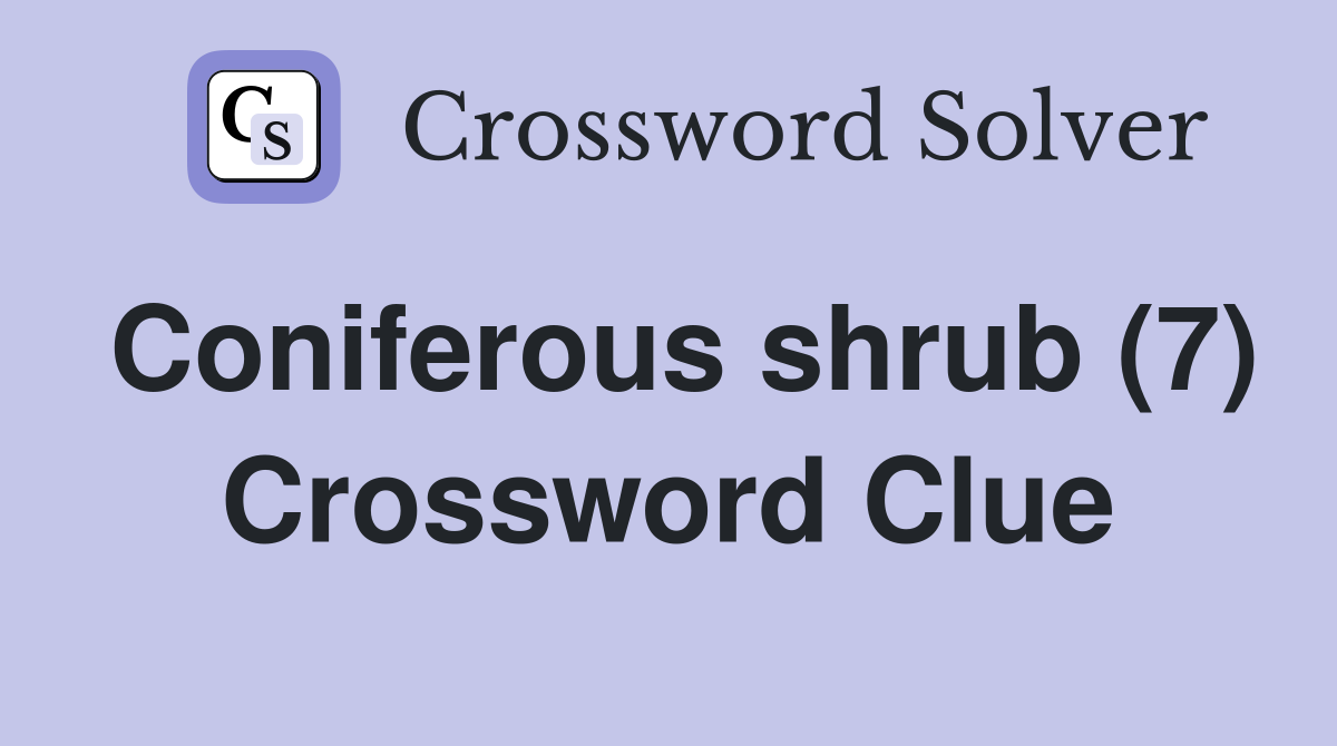 Coniferous shrub (7) Crossword Clue