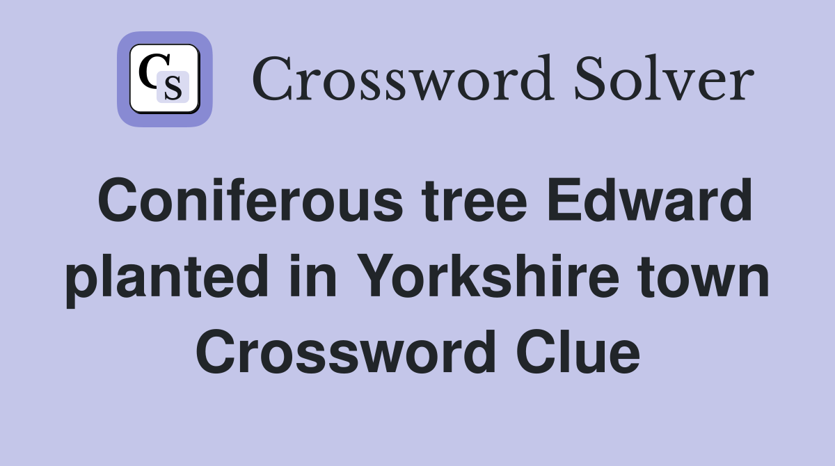Coniferous tree Edward planted in Yorkshire town Crossword Clue