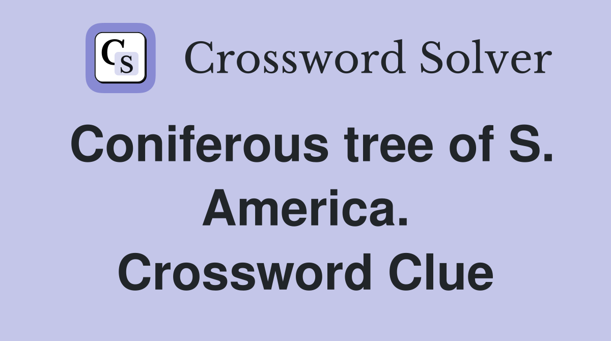 Coniferous tree of S. America. Crossword Clue