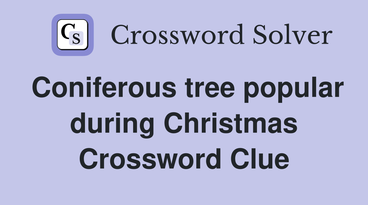 Coniferous tree popular during Christmas Crossword Clue