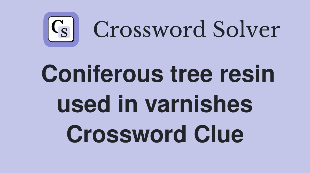 Coniferous tree resin used in varnishes Crossword Clue