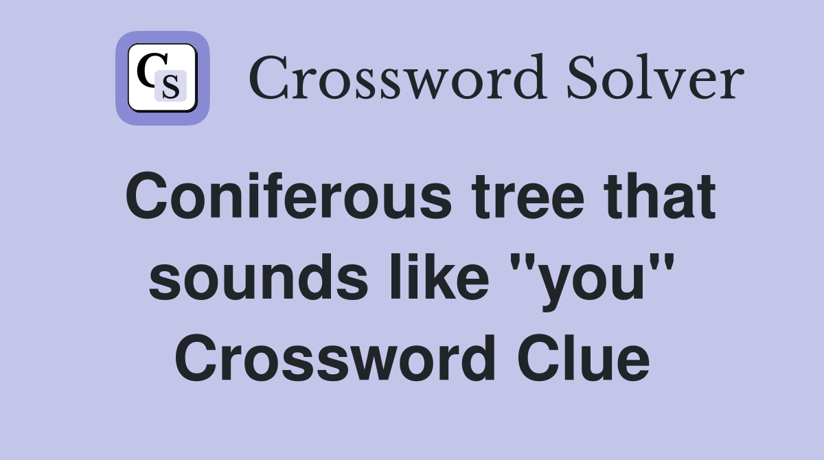 Coniferous tree that sounds like "you" Crossword Clue