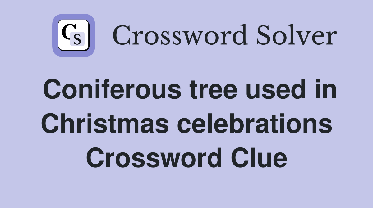Coniferous tree used in Christmas celebrations Crossword Clue