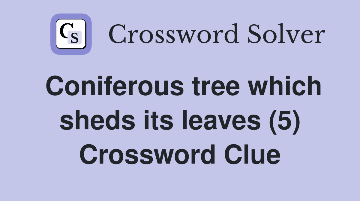 Coniferous tree which sheds its leaves (5) Crossword Clue