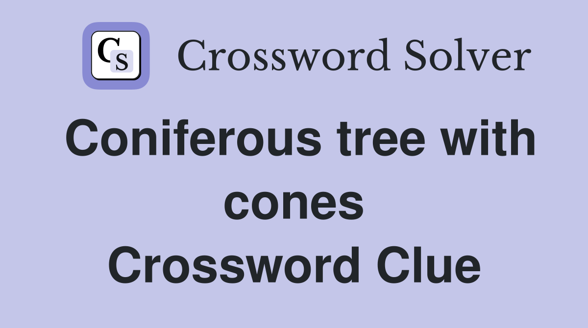 Coniferous tree with cones Crossword Clue