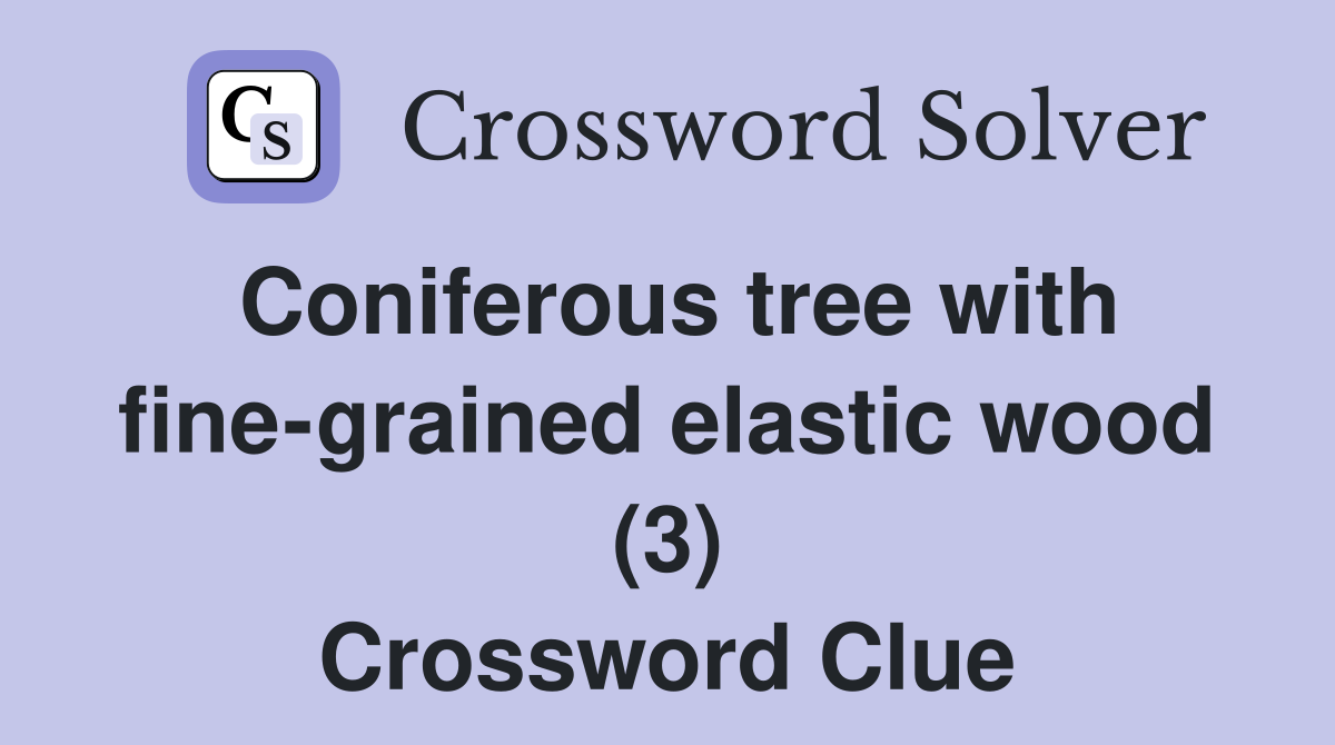 Coniferous tree with fine-grained elastic wood (3) Crossword Clue