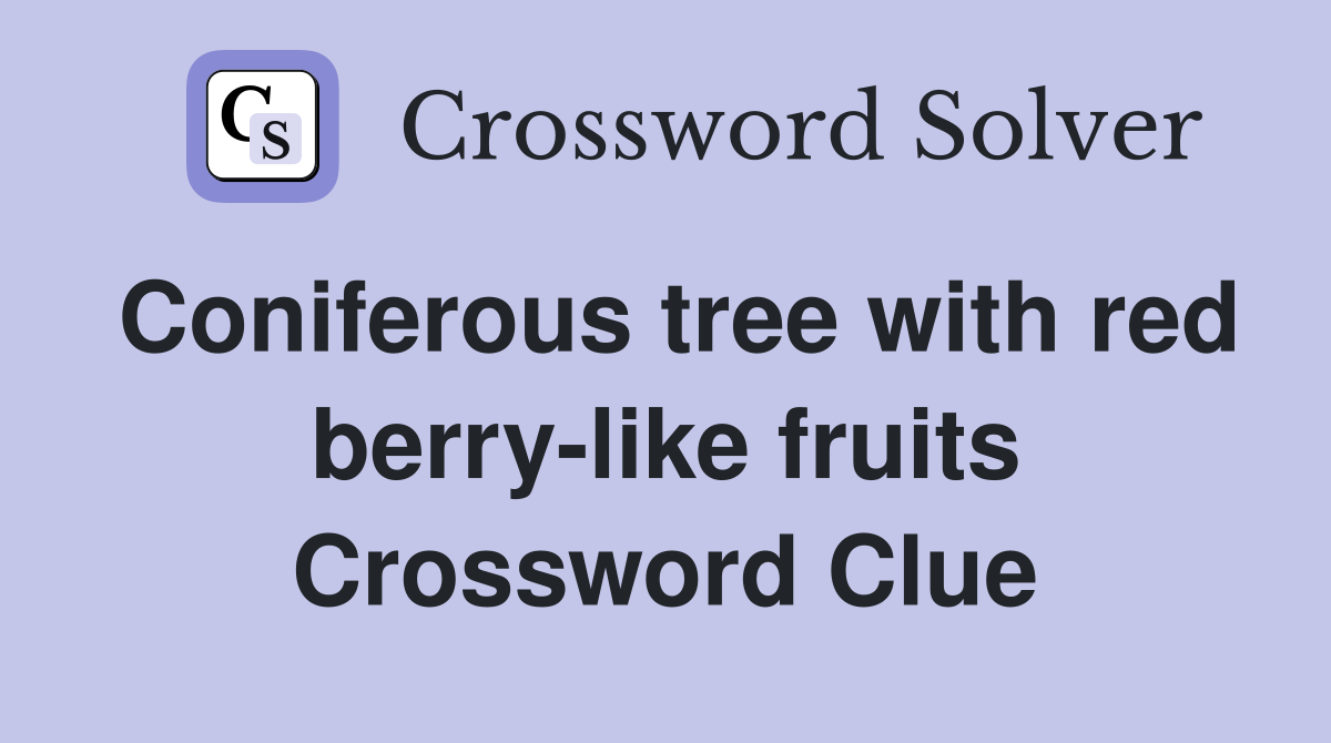 Coniferous tree with red berry-like fruits Crossword Clue