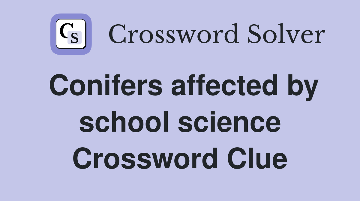 Conifers affected by school science Crossword Clue