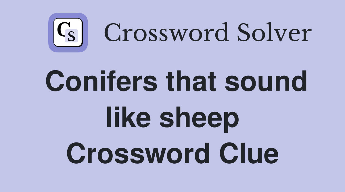 Conifers that sound like sheep Crossword Clue