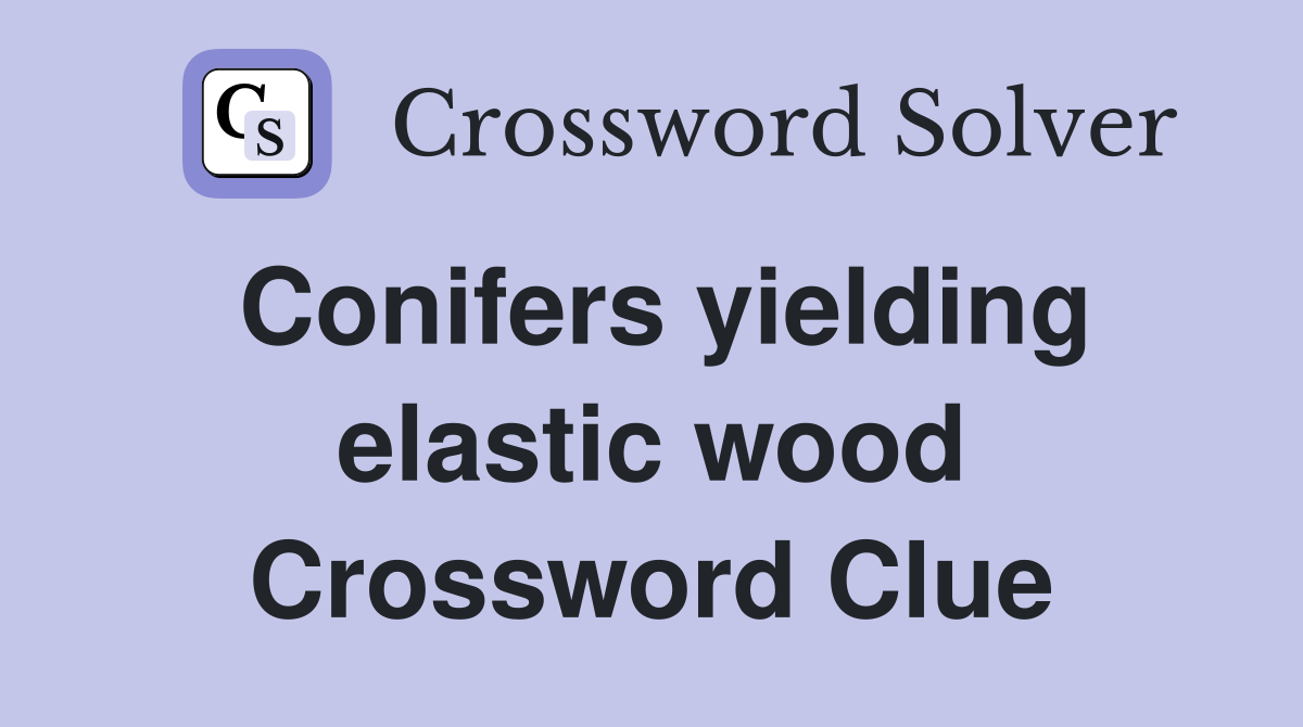 Conifers yielding elastic wood Crossword Clue