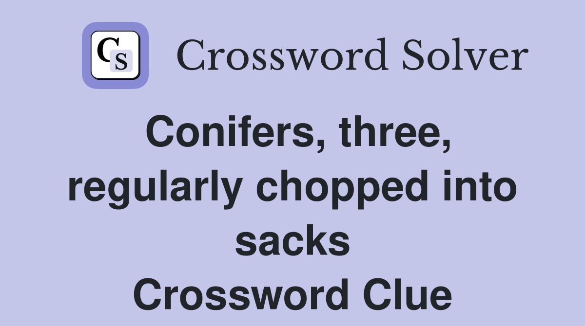 Conifers, three, regularly chopped into sacks Crossword Clue