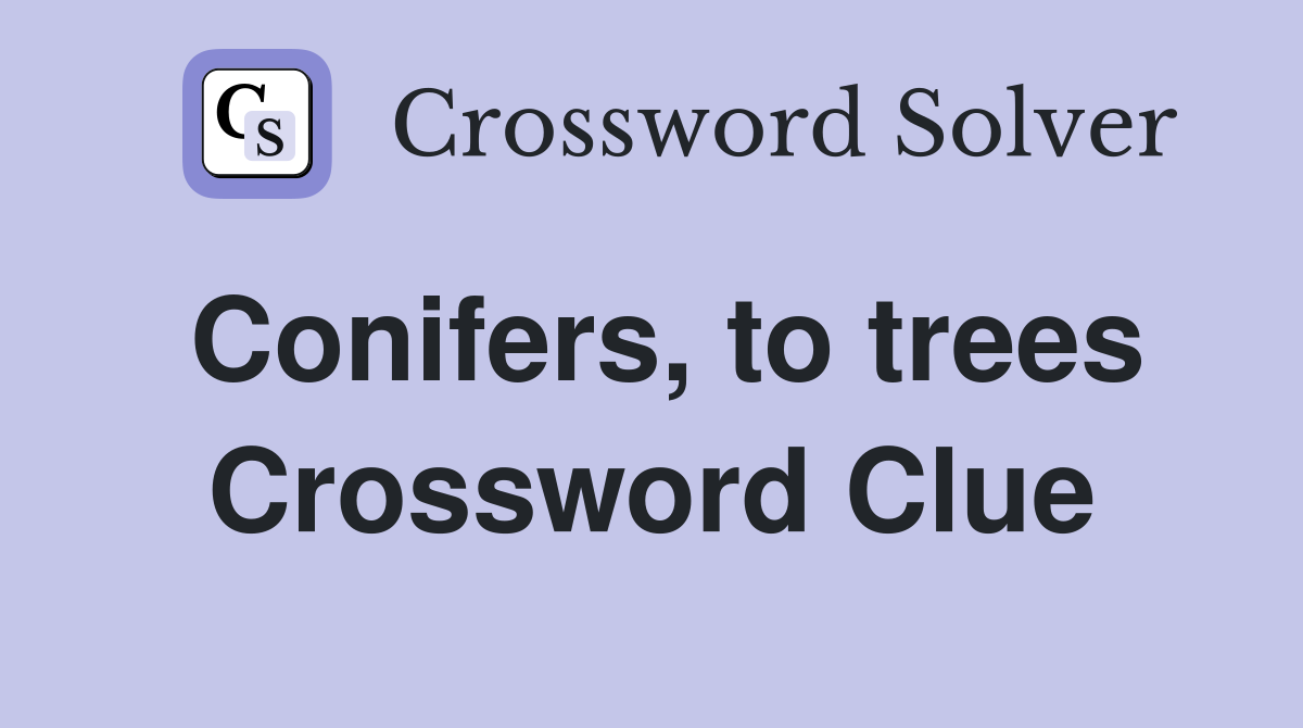 Conifers, to trees Crossword Clue