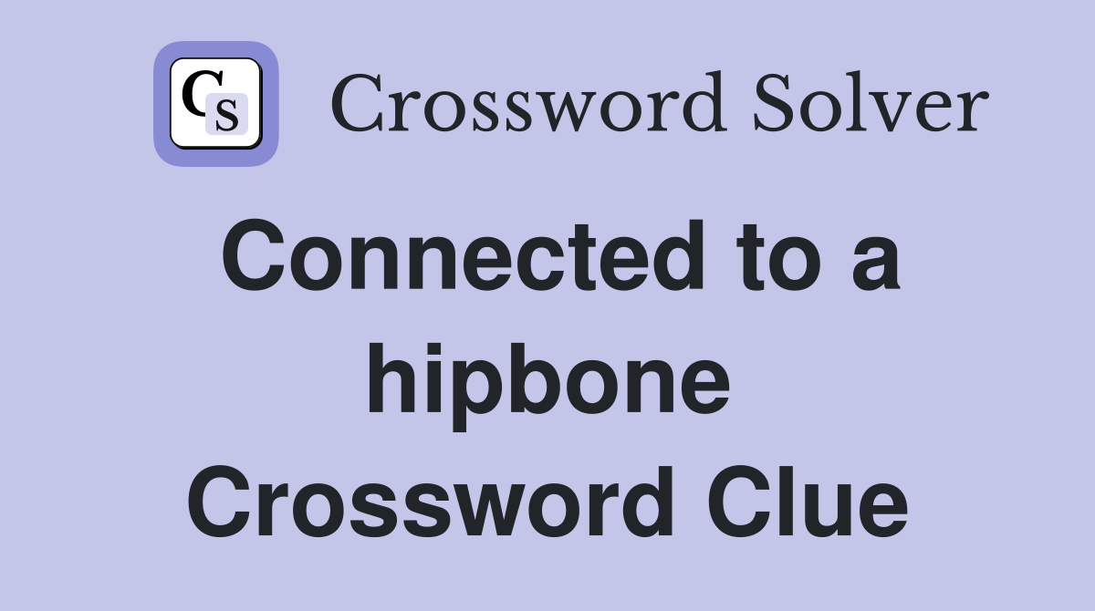 Connected to a hipbone Crossword Clue